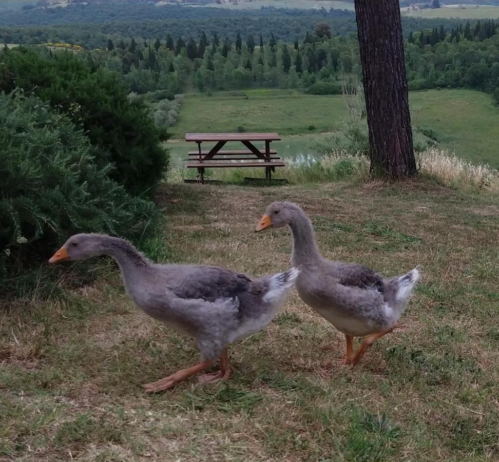 トレクアンダ Agriturismo Soleヴィラ エクステリア 写真