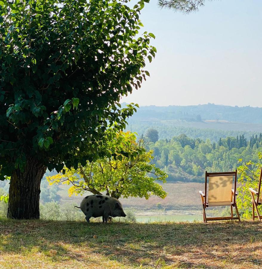 トレクアンダ Agriturismo Soleヴィラ エクステリア 写真